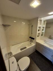 Cairnhill Plaza (D9), Apartment #476743321
